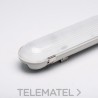 Pantalla estanca LED 120cm 40W DALI y pulsador blanco neutro con referencia KLS120-40DABN de la marca THREELINE.