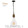 Set cadena E-40 bronce con referencia 987546 de la marca LAES.