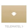 Tapa tarjeta temporizador serie Coral en dorado perla con referencia 21868-DP de la marca BJC.