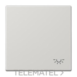 Tecla símbolo luz LS990 gris con referencia LS990LLG de la marca JUNG.